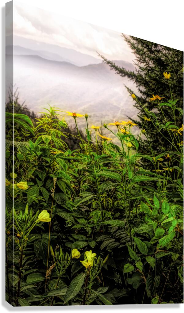 Smoky Mountains Summer Wildflowers Canvas Print