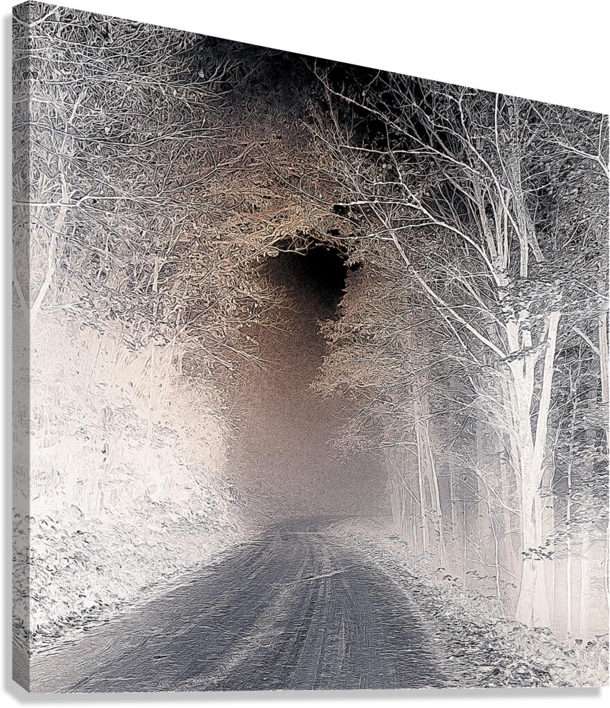Down the Ominous Tunnel Canvas Print