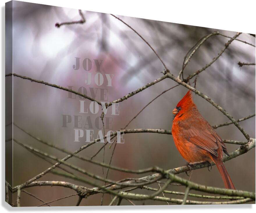 Red Cardinal Bird Joy Love Peace Canvas Print