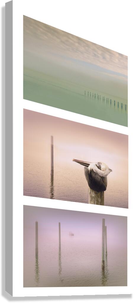 Pensacola Beach  Pelican Pilings Triptych Canvas Print