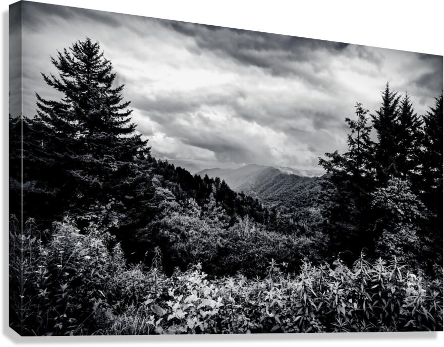 Tennessee Mountains Perfection in Black and white Canvas Print
