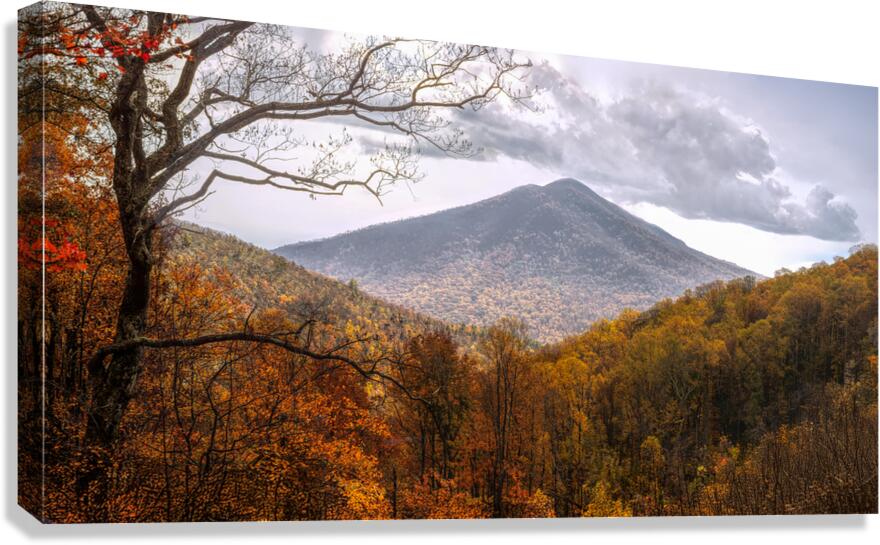 Golden Colors of Autumn Canvas Print