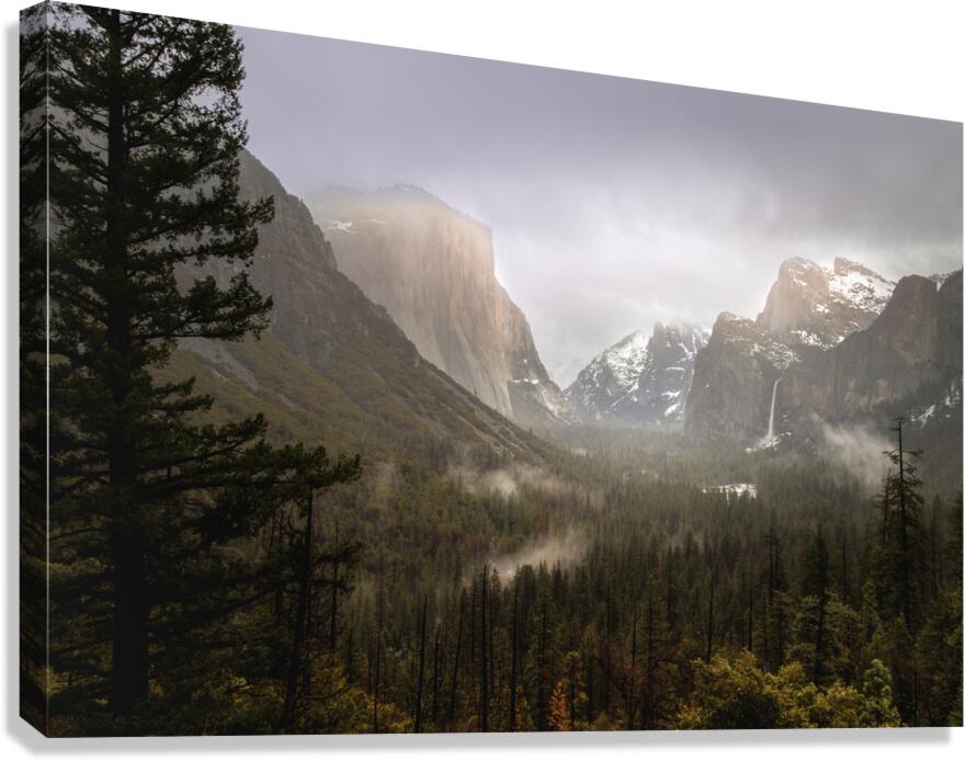 Yosemite in Winter Snow and Fog Canvas Print