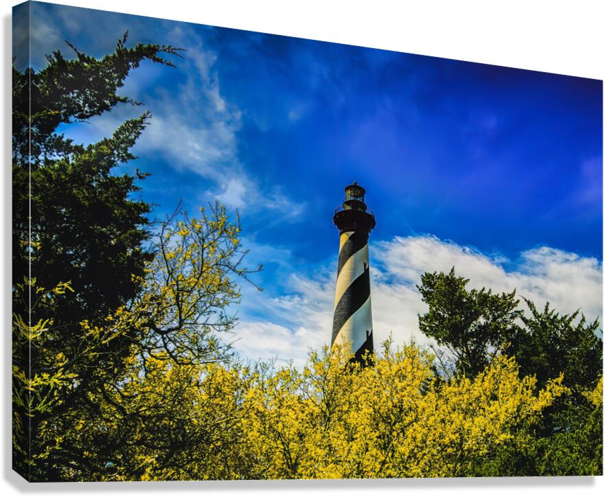 Cape Hatteras Lighthouse Canvas Print