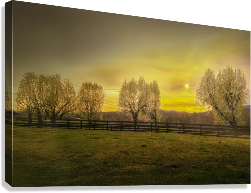 New Beginnings Canvas Print