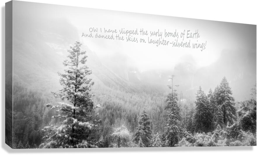 Laughter Silvered Wings Canvas Print