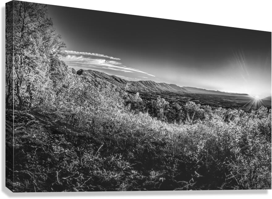 Porter Mountain Black and White Canvas Print