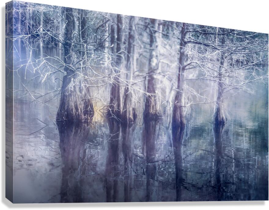 Ethereal Reflections of Winter Trees Canvas Print