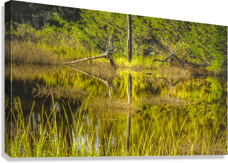 Southern Marsh Mirrored Reflections Canvas Print