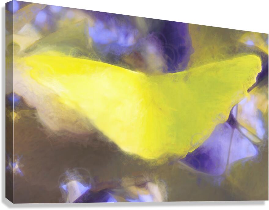 The Yellow Ginkgo Leaf Canvas Print