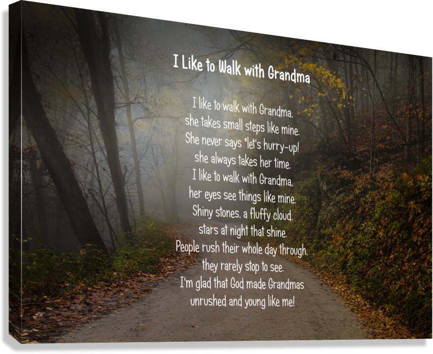 I Like to Walk with Grandma Canvas Print