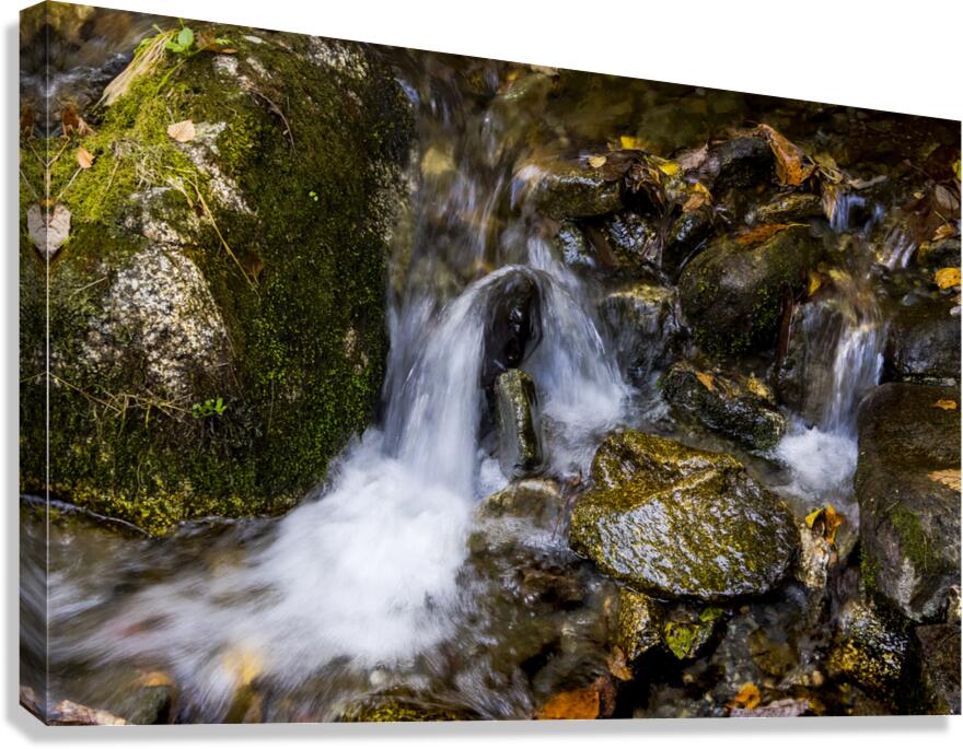 Blue Ridge Parkway Mountain Stream in  Autumn Canvas Print