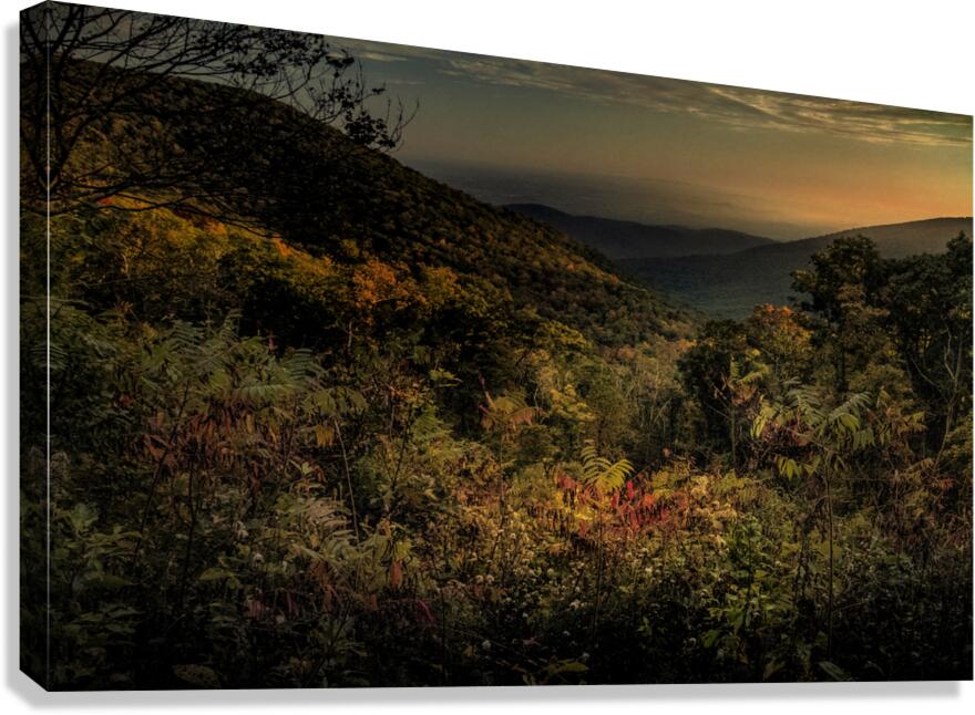 Blue Ridge Layers of Autumn Canvas Print