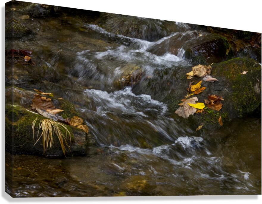 Blue Ridge Mountains River Art Canvas Print