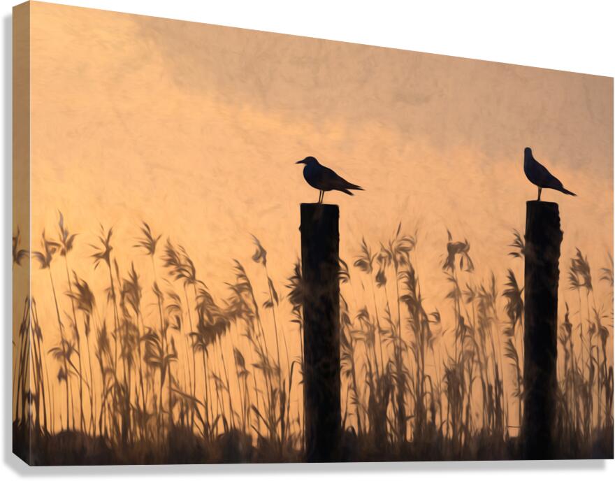 Lake Pontchartrain Seagulls Silhouette Perched on Piling Poles Canvas Print