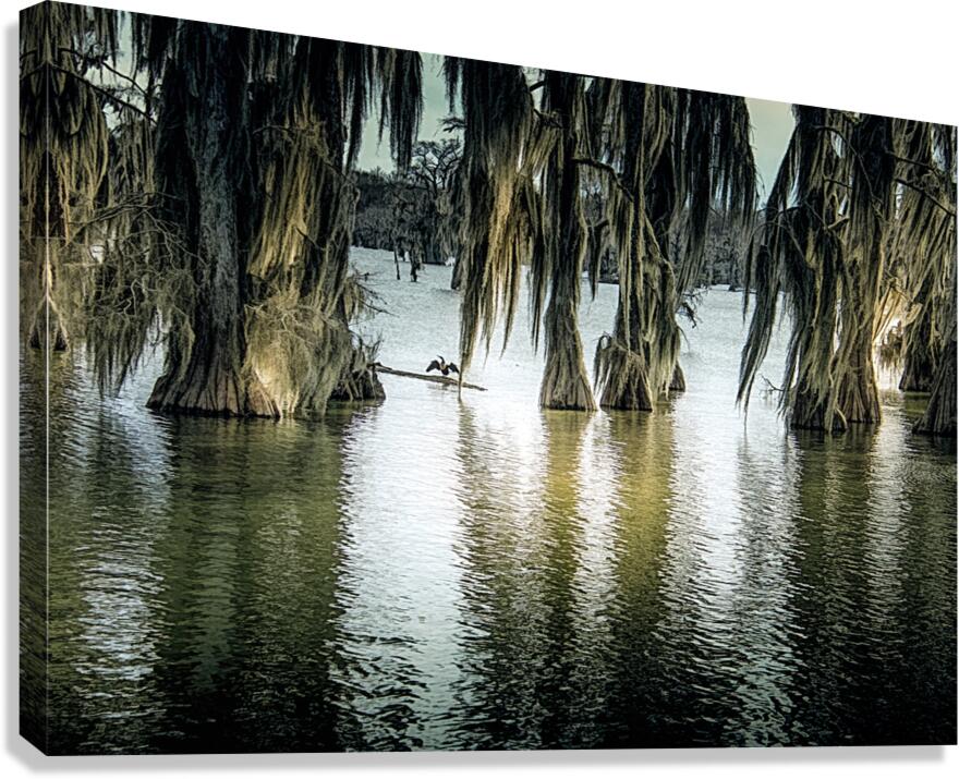 Lake Martin Winter Sun Canvas Print