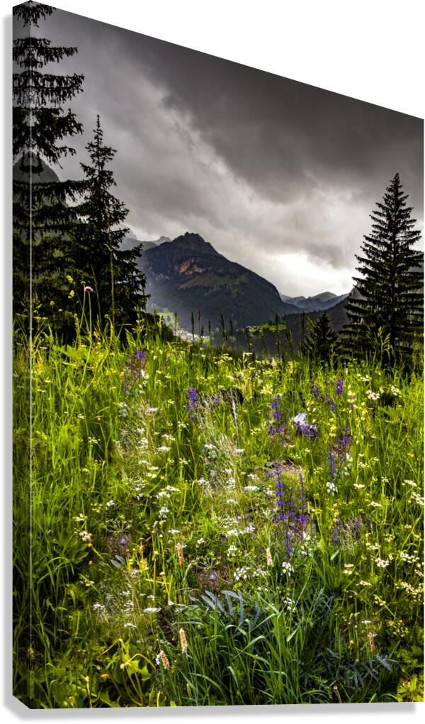 Dolomite Mountain Wildflowers in Summer Canvas Print