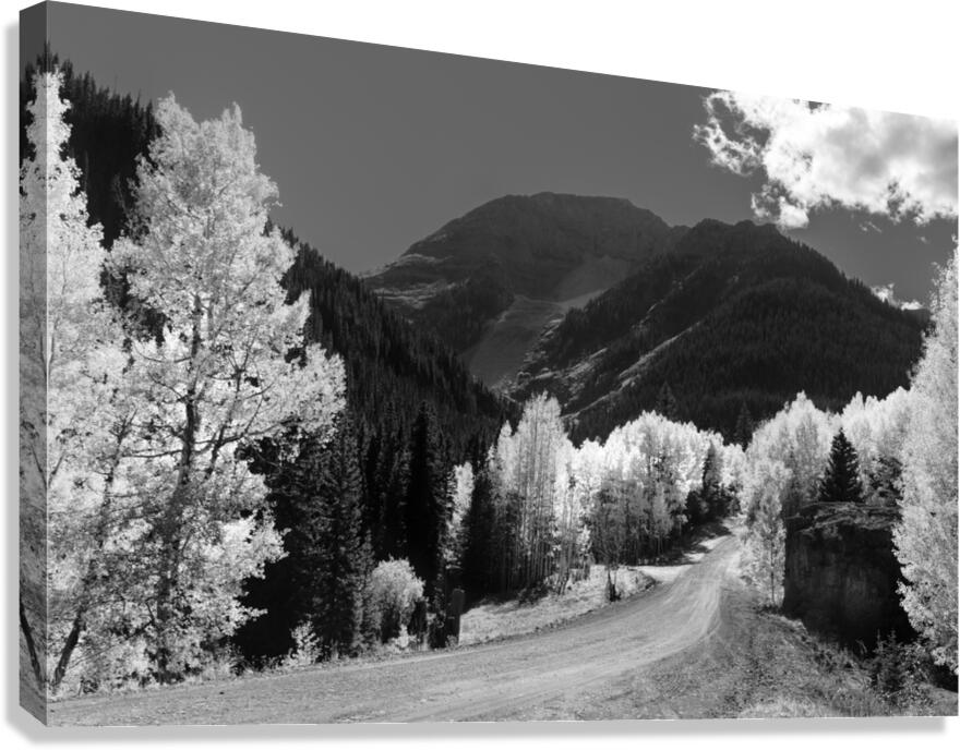 Colorado Back Roads Silhouette Canvas Print