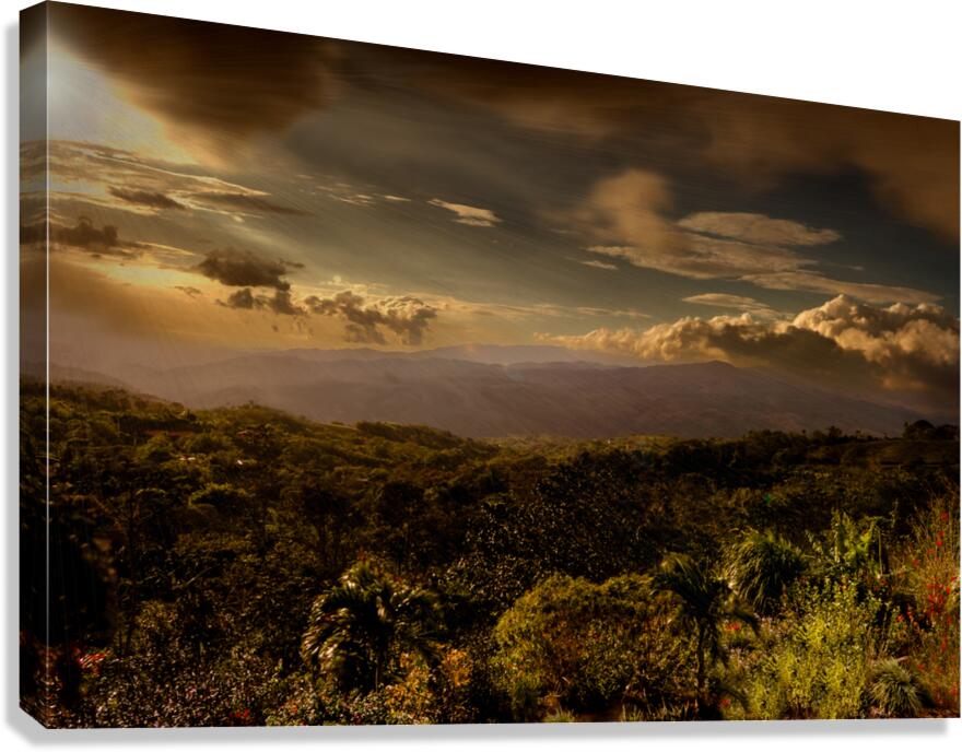 Costa Rica San Ramon Coffee Plantation  Gulf of Nicoya  Canvas Print