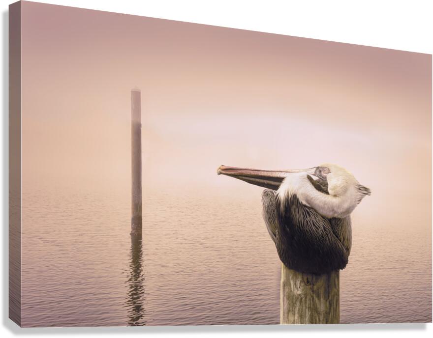 Pensacola Florida Pelican in Fog Canvas Print