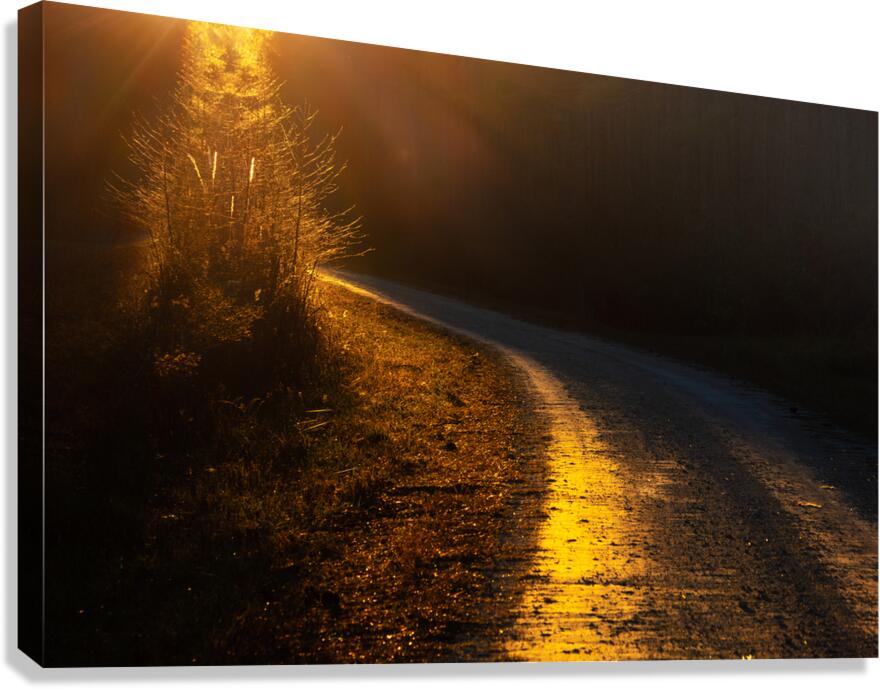 Road to Dreams Canvas Print
