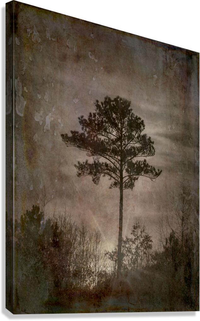 One Antique Textured Tree Canvas Print