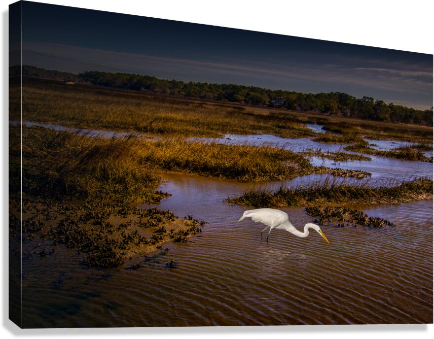South Carolina  Marsh Heron Sunrise Canvas Print