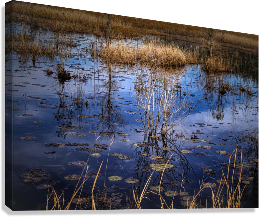 Low Country Marsh Sky Reflections Canvas Print
