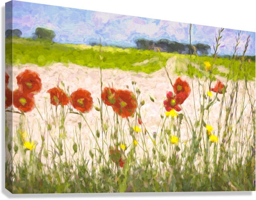 Artistic French Roadside Poppies Canvas Print