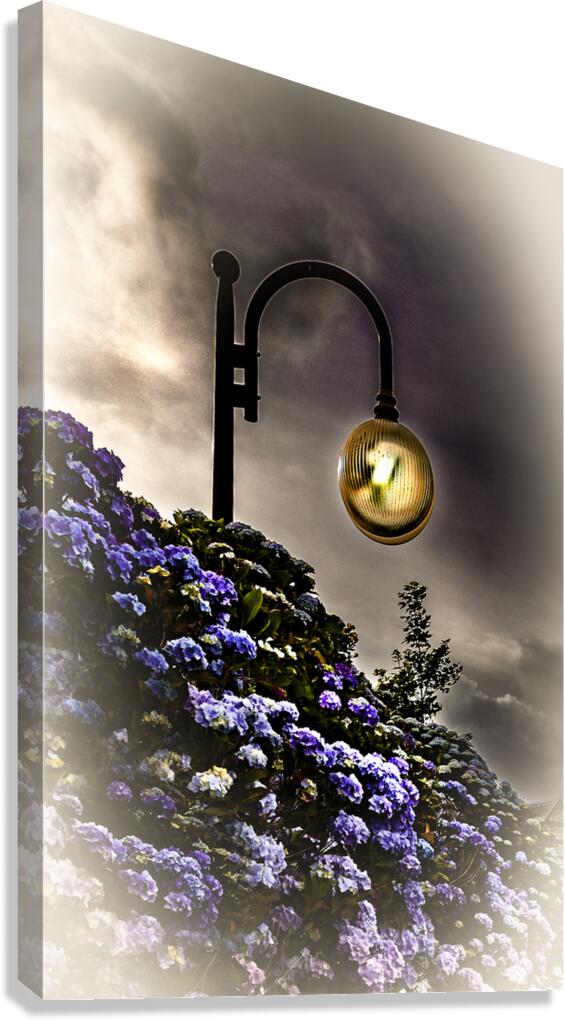 Normandy Le Tilleul Street Light Canvas Print
