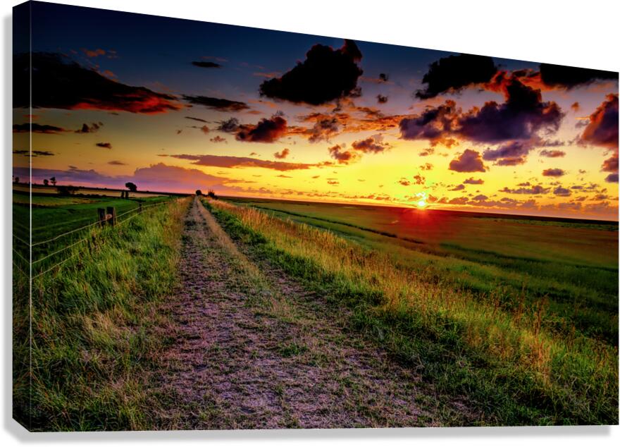 Mont Saint Michel Farm Field at Sunset Canvas Print