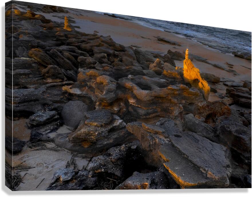 Washington Gardens Cochina  Sunset Canvas Print