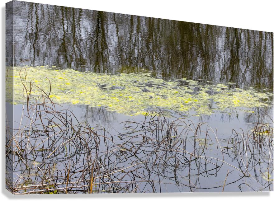 Winter Pond Textures Canvas Print