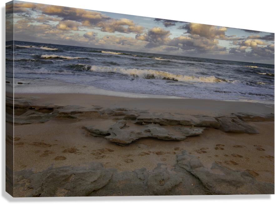 Palm Coast Footprints in the Sand Canvas Print