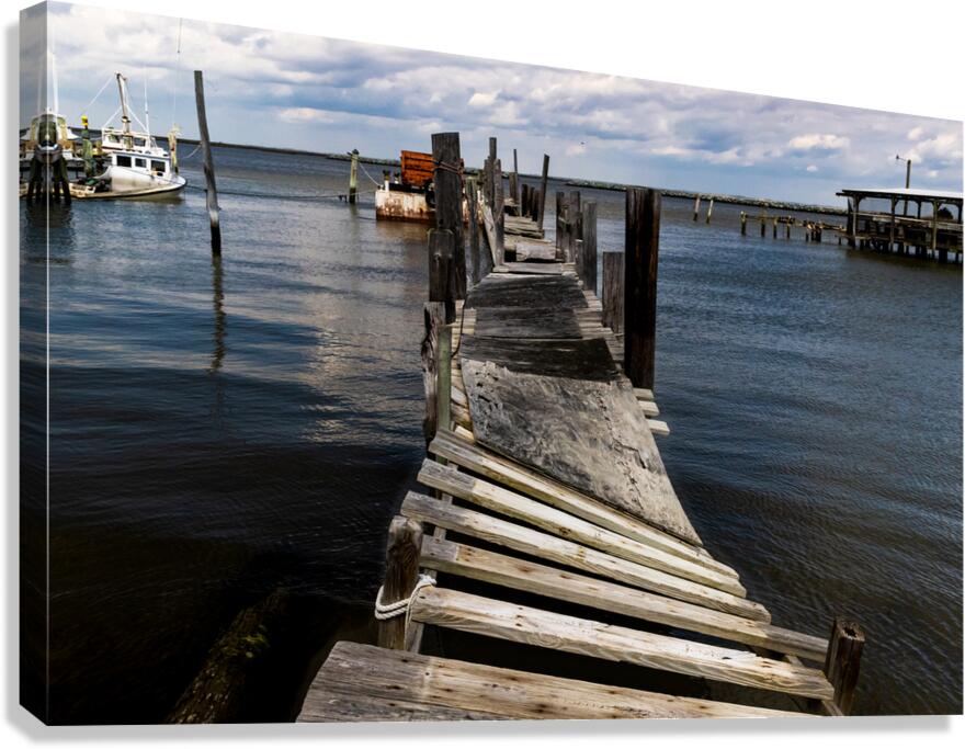 Old Twisted Dock Convolutions Canvas Print