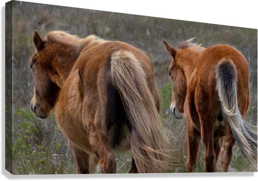 Paired Together Canvas Print