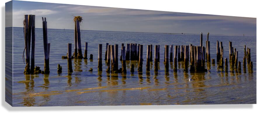 Cape Charles Pilings Canvas Print