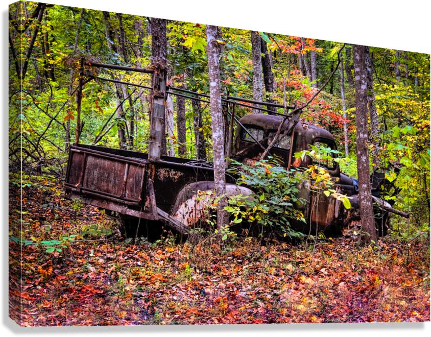 Wrong Way Home Canvas Print