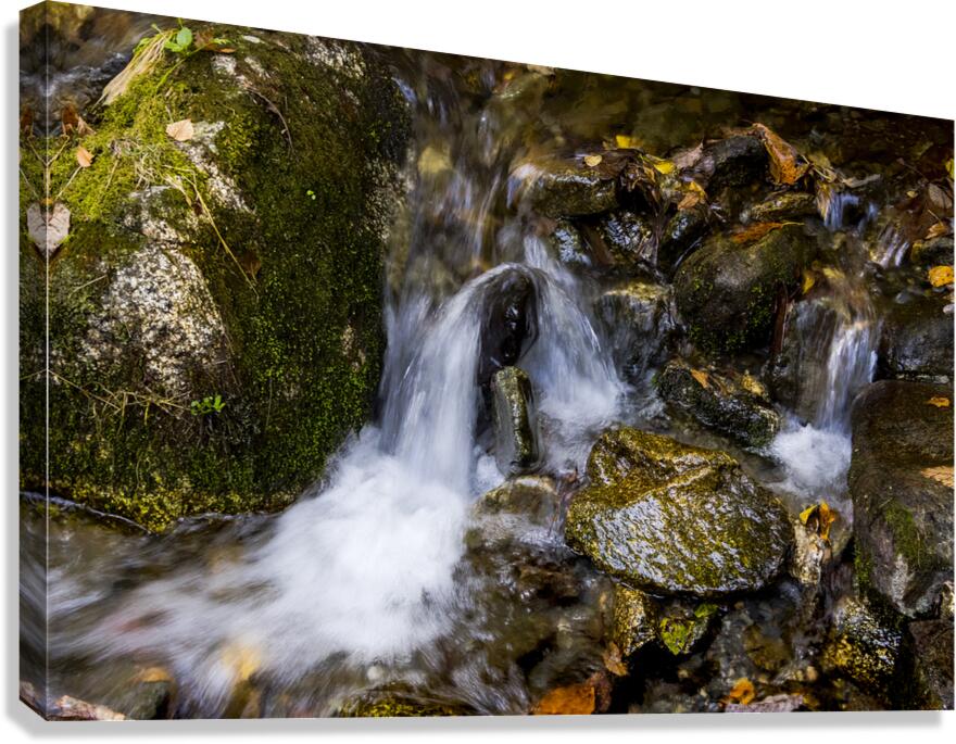 Autumn Mountain Stream Canvas Print