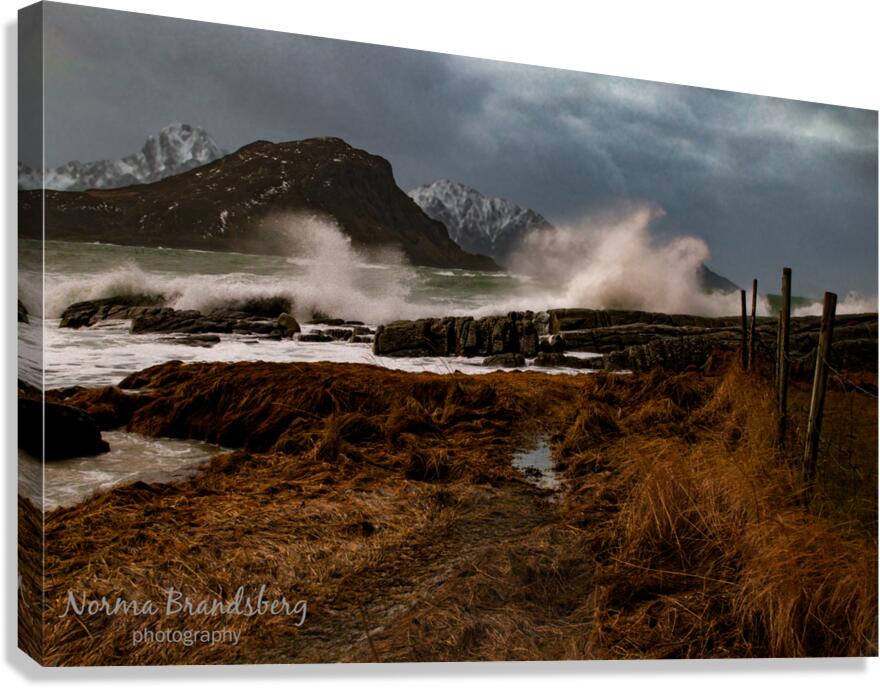 Vik Beach Storm in the Lofoten Islands Canvas Print