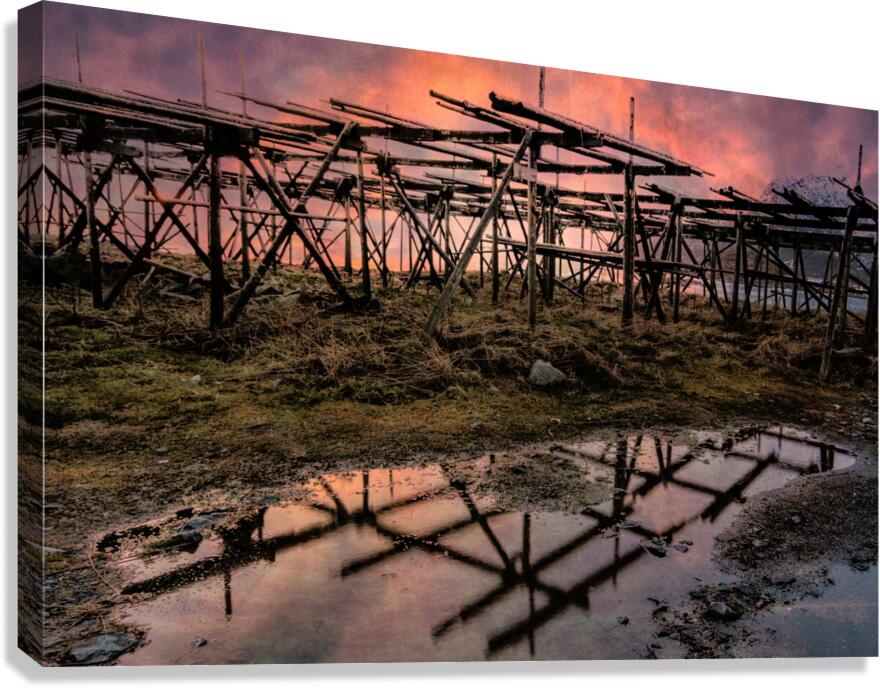 Norwegian Cod Drying Racks at Sunset Canvas Print