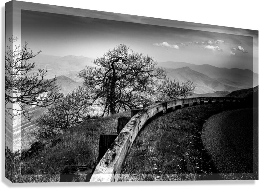 Blue Ridge Curves are the Best Canvas Print