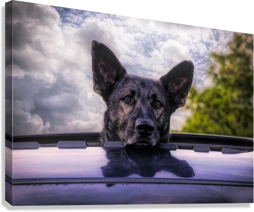 Along for the Ride Canvas Print