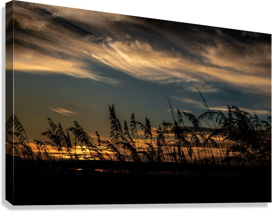 Hilton Head Beach Sea Oats Canvas Print