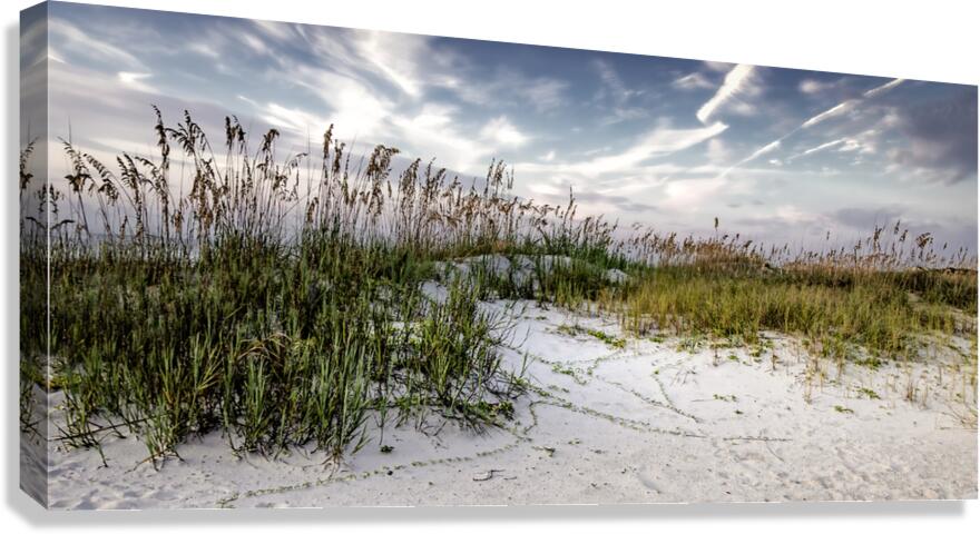 Hilton Head Sand Dunes Canvas Print