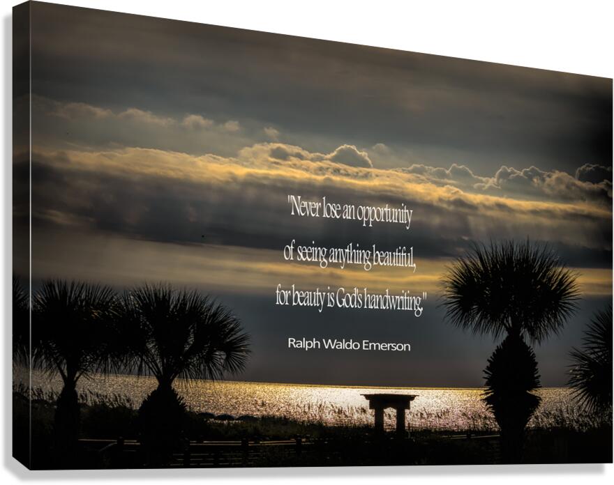 Beauty by Emerson Canvas Print