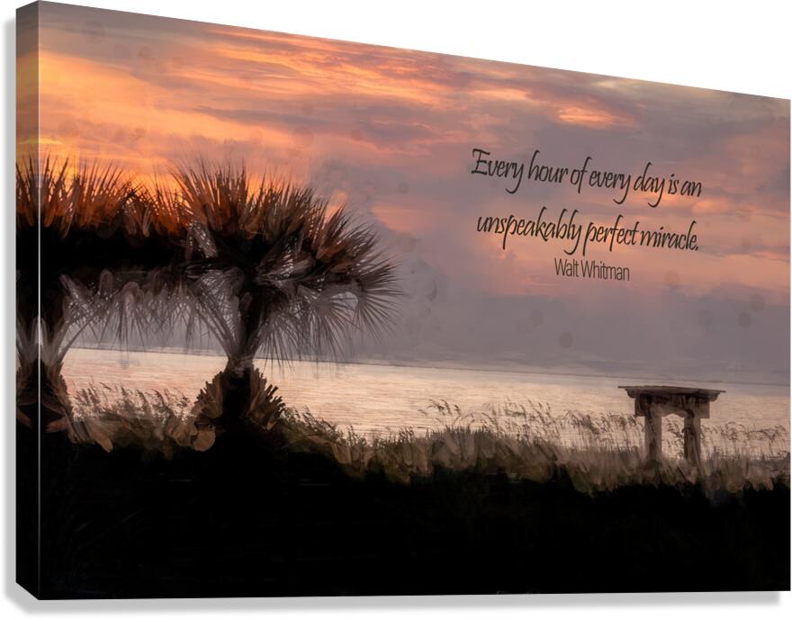 Every Day a Miracle Canvas Print