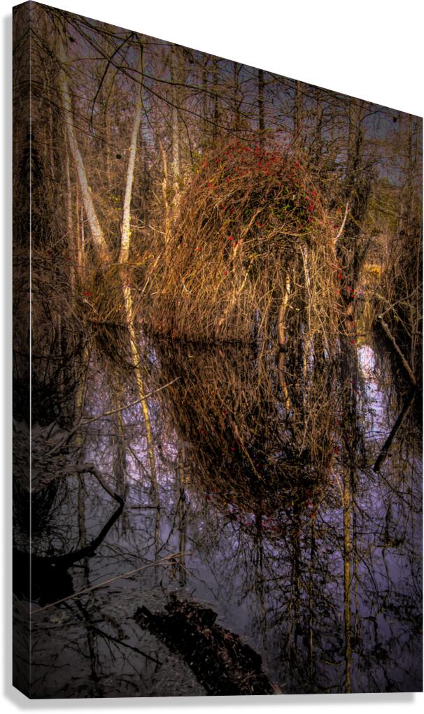 Marsh Colors of Winter Canvas Print