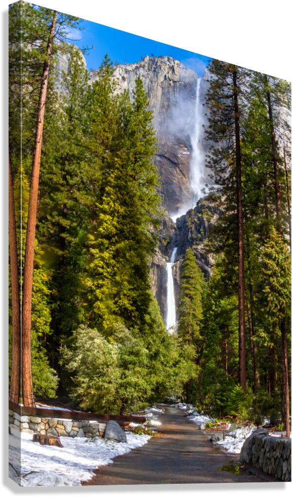 Yosemite Upper and Lower Waterfalls Canvas Print