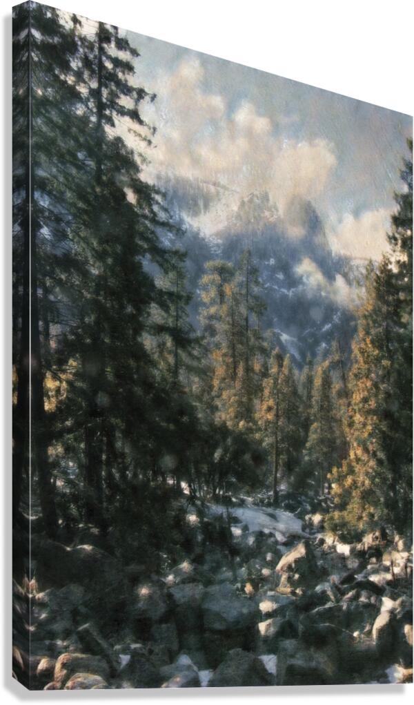 Yosemite Down Stream Canvas Print